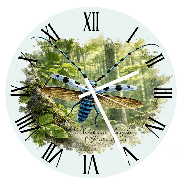 Szklany zegar z nadobnicą alpejską (Rosalia alpina) - autorska grafika Pauliny Strejczek-Jaźwińskiej. Średnica 30 cm, białe metalowe wskazówki. Kolekcja Nadobnica alpejska, Człowiek z Lasu.