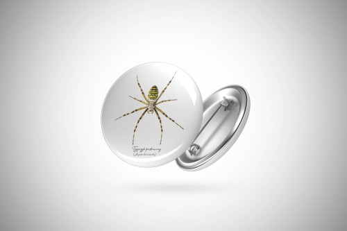 Przypinka z tygrzykiem paskowanym (Argiope bruennichi) - autorska grafika Pauliny Strejczek-Jaźwińskiej. Front i tył z aluminium, zapięcie na agrafkę. Kolekcja Pająki, Człowiek z Lasu.