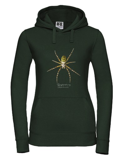 Bluza z kapturem w kolorze butelkowej zieleni, z tygrzykiem paskowanym (Argiope bruennichi) - autorska grafika Pauliny Strejczek-Jaźwińskiej. Kolekcja Pająki, Człowiek z Lasu.