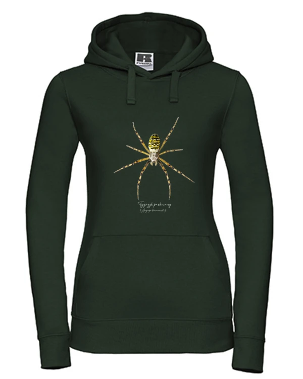 Bluza z kapturem w kolorze butelkowej zieleni, z tygrzykiem paskowanym (Argiope bruennichi) - autorska grafika Pauliny Strejczek-Jaźwińskiej. Kolekcja Pająki, Człowiek z Lasu.