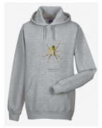 Bluza z kapturem w kolorze szarym, z tygrzykiem paskowanym (Argiope bruennichi) - autorska grafika Pauliny Strejczek-Jaźwińskiej. Kolekcja Pająki, Człowiek z Lasu.