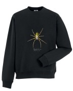 Bluza bez kaptura z tygrzykiem paskowanym (Argiope bruennichi), dostępna na specjalne zamówienie - autorska grafika Pauliny Strejczek-Jaźwińskiej. Kolekcja Pająki, Człowiek z Lasu.