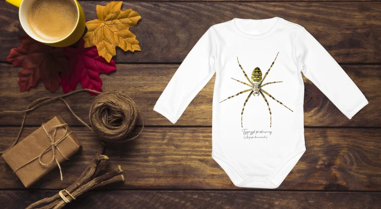 Body niemowlęce z długim rękawem, z tygrzykiem paskowanym (Argiope bruennichi) - autorska grafika Pauliny Strejczek-Jaźwińskiej. Kolekcja Pająki, Człowiek z Lasu.