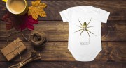 Body niemowlęce z krótkim rękawem, z tygrzykiem paskowanym (Argiope bruennichi) - autorska grafika Pauliny Strejczek-Jaźwińskiej. Kolekcja Pająki, Człowiek z Lasu.