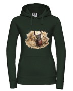 Jelonek rogacz /Lucanus cervus/ - prezent dla Entomologa - Bluza z kapturem / Bluza bez kaptura