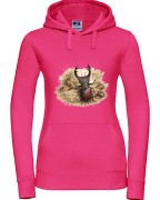 Jelonek rogacz /Lucanus cervus/ - prezent dla Entomologa - Bluza z kapturem / Bluza bez kaptura