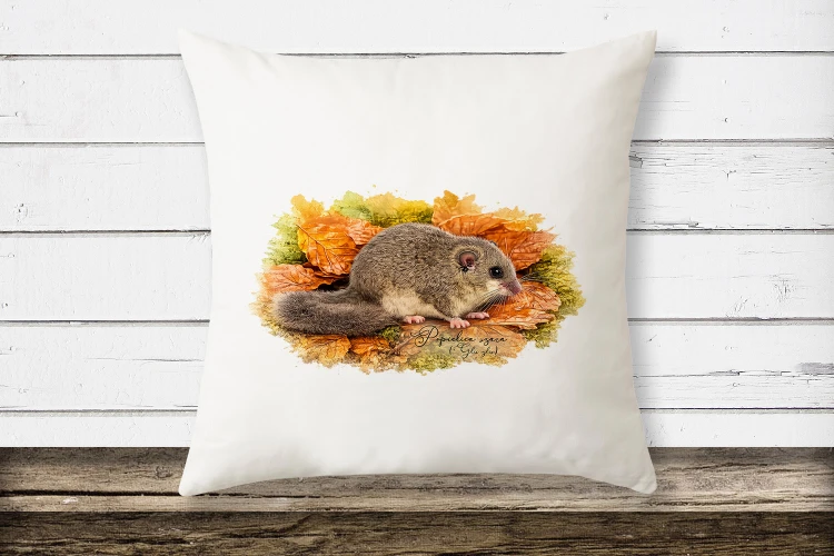 Popielica szara /Glis glis/- Poduszka z popielicą - Poduszka