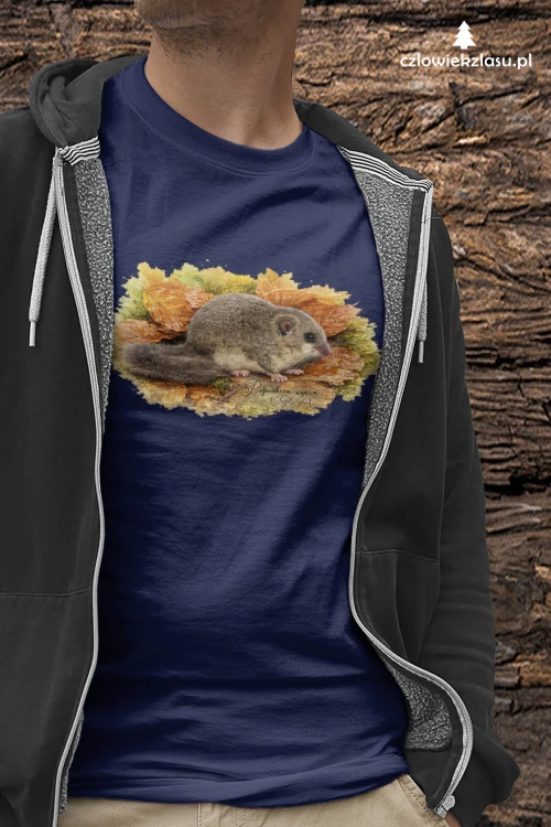 Popielica szara – /Glis glis/- Koszulka