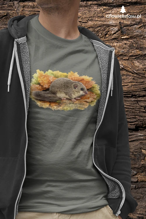 Popielica szara – /Glis glis/- Koszulka