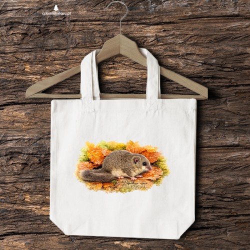 Popielica szara /glis glis/- Torba naturalna