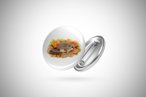 Popielica szara /glis glis/ - Przypinka - Button