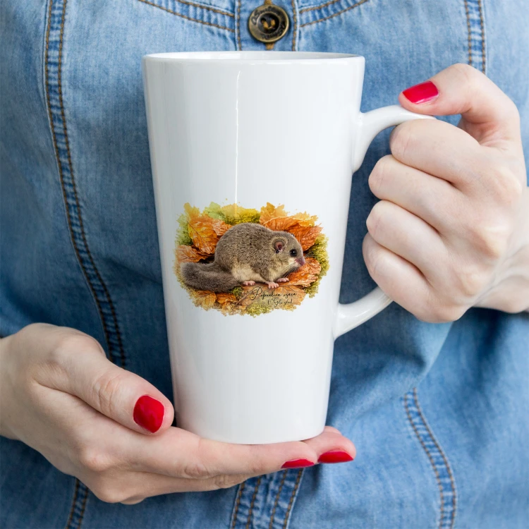 Popielica szara /Glis glis/ - Kubek latte