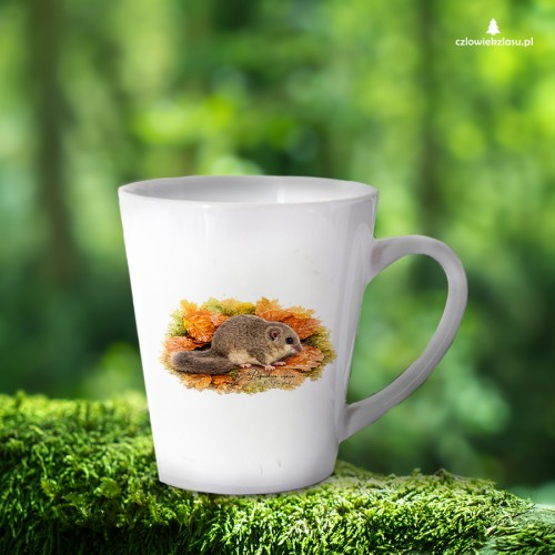 Popielica szara /Glis glis/ - Kubek latte
