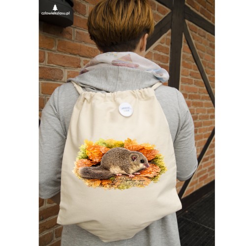 Popielica szara /glis glis/ - Worek plecak