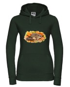 Popielica szara /Glis glis/ - Bluza z kapturem / Bluza bez kaptura