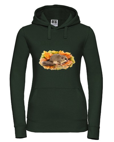 Popielica szara /Glis glis/ - Bluza z kapturem / Bluza bez kaptura