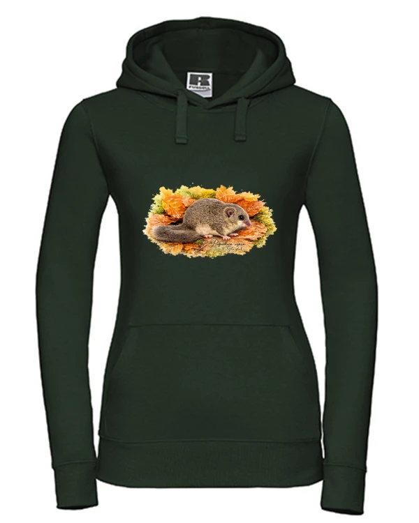 Popielica szara /Glis glis/ - Bluza z kapturem / Bluza bez kaptura