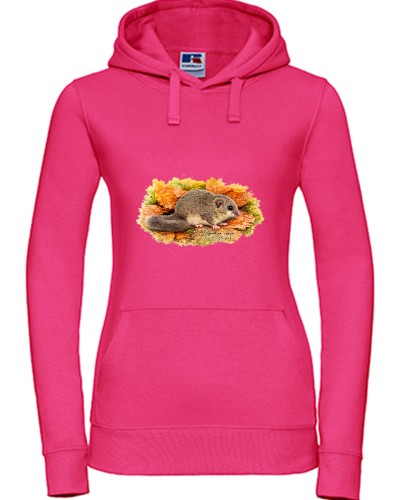 Popielica szara /Glis glis/ - Bluza z kapturem / Bluza bez kaptura
