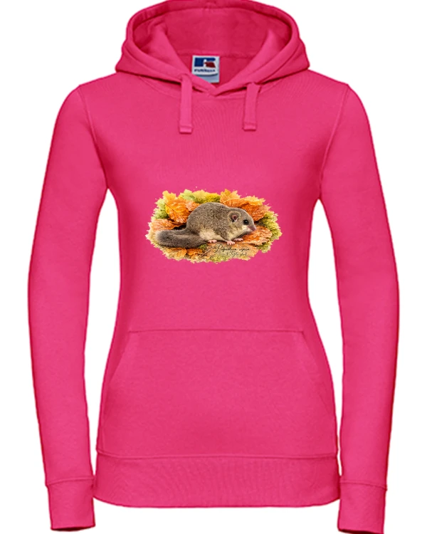 Popielica szara /Glis glis/ - Bluza z kapturem / Bluza bez kaptura
