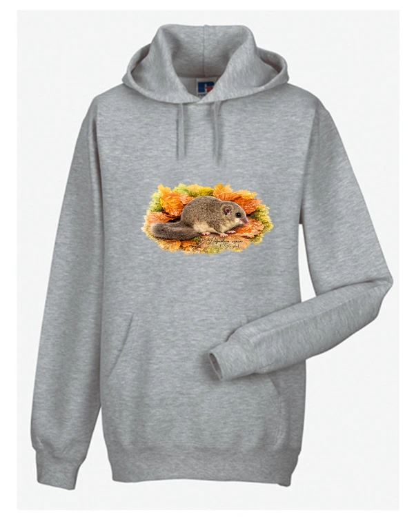 Popielica szara /Glis glis/ - Bluza z kapturem / Bluza bez kaptura