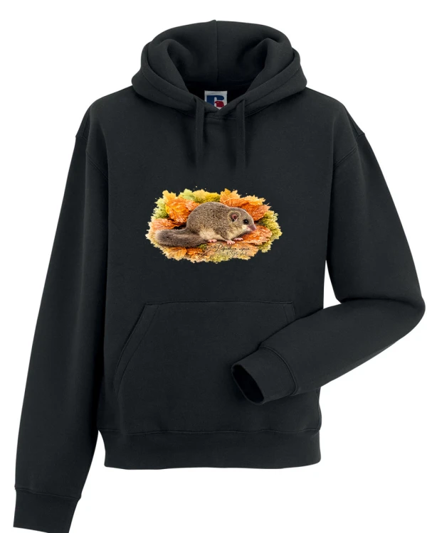 Popielica szara /Glis glis/ - Bluza z kapturem / Bluza bez kaptura