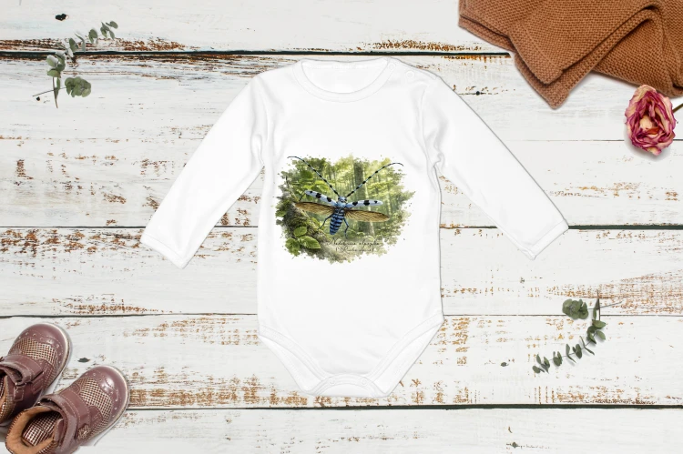 Nadobnica alpejska #2 (Rosalia alpina) - Body - Bodziak
