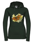 Rusałka ceik /Polygonia c-album/ - prezent dla Lepidopterologa, prezent dla entomologa - Bluza z kapturem / Bluza bez kaptura