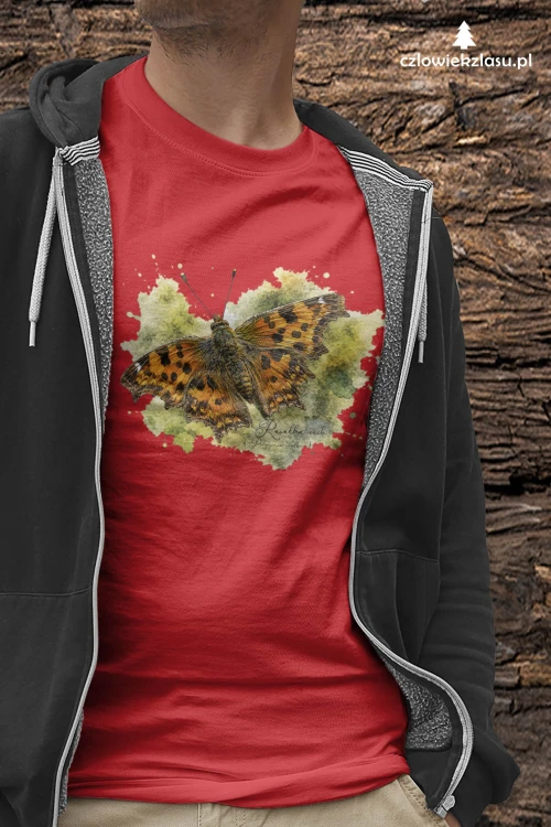 Rusałka ceik /Polygonia c-album/ - prezent dla Lepidopterologa, prezent dla entomologa - Koszulka damska / męska