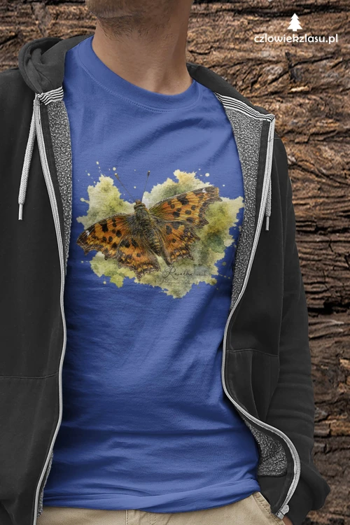 Rusałka ceik /Polygonia c-album/ - prezent dla Lepidopterologa, prezent dla entomologa - Koszulka damska / męska