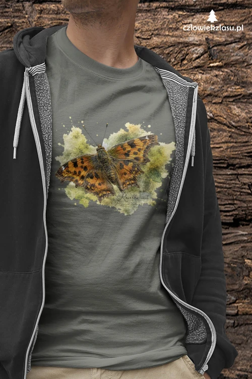 Rusałka ceik /Polygonia c-album/ - prezent dla Lepidopterologa, prezent dla entomologa - Koszulka damska / męska