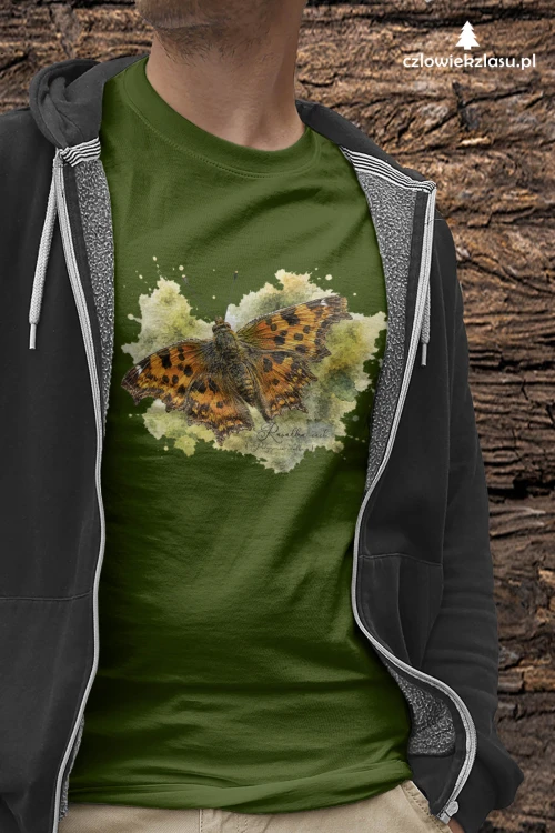 Rusałka ceik /Polygonia c-album/ - prezent dla Lepidopterologa, prezent dla entomologa - Koszulka damska / męska