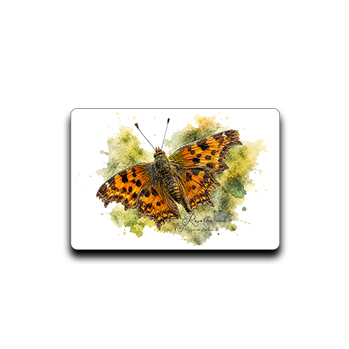 Magnes z rusałką ceik (Polygonia c-album) - autorska grafika Pauliny Strejczek-Jaźwińskiej. Wymiary 7x4,5 cm. Kolekcja Rusałka ceik, Człowiek z Lasu.