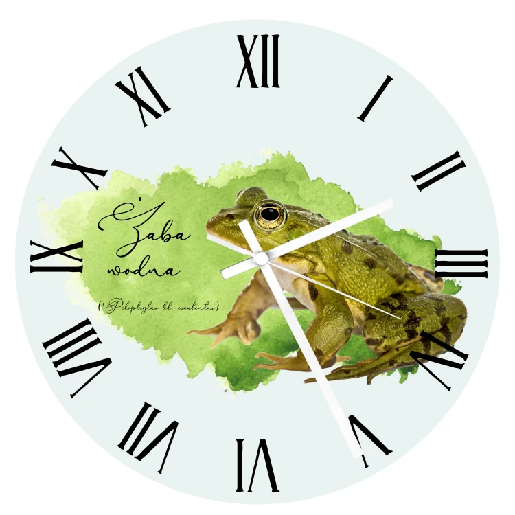 Żaba wodna /Pelophylax kl. esculentus/ - prezent dla herpetologa - zegar