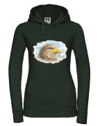 Bielik /Haliaaetus albicilla/ - prezent dla ornitologa - Bluza z kapturem / Bluza bez kaptura