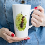 Mrówka rudnica - Formica rufa - Kubek latte