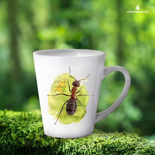 Mrówka rudnica - Formica rufa - Kubek latte