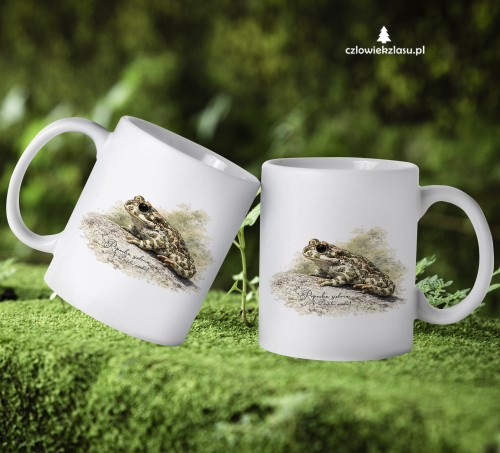 Biały kubek ceramiczny z ropuchą zieloną (Bufotes viridis) - autorska grafika Pauliny Strejczek-Jaźwińskiej. Pojemność 330 ml lub 450 ml. Kolekcja Ropucha zielona, Człowiek z Lasu.