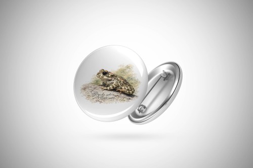 Przypinka z ropuchą zieloną (Bufotes viridis) - autorska grafika Pauliny Strejczek-Jaźwińskiej. Front i tył z aluminium, zapięcie na agrafkę. Kolekcja Ropucha zielona, Człowiek z Lasu.