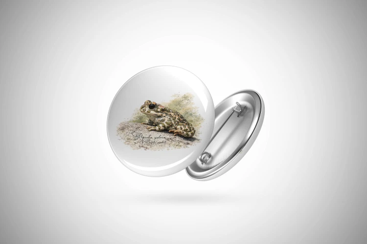 Przypinka z ropuchą zieloną (Bufotes viridis) - autorska grafika Pauliny Strejczek-Jaźwińskiej. Front i tył z aluminium, zapięcie na agrafkę. Kolekcja Ropucha zielona, Człowiek z Lasu.