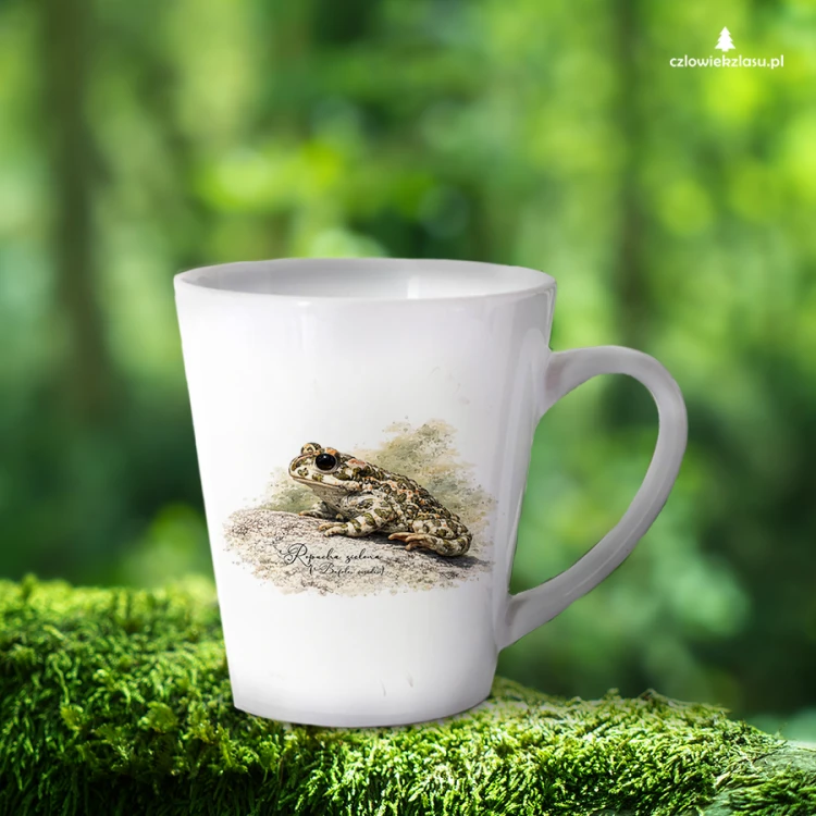 Biały kubek latte 450 ml z ropuchą zieloną (Bufotes viridis) - autorska grafika Pauliny Strejczek-Jaźwińskiej. Nadruk sublimacyjny. Kolekcja Ropucha zielona, Człowiek z Lasu.