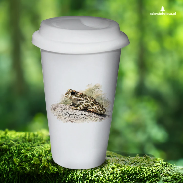 Ropucha zielona - /Bufotes viridis/ - Prezent dla herpetologa - Tumbler
