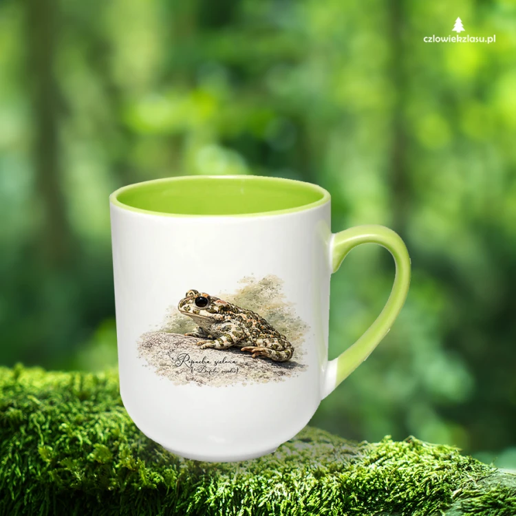 Kubek coffee z zielonym uszkiem i wnętrzem, z ropuchą zieloną (Bufotes viridis) - autorska grafika Pauliny Strejczek-Jaźwińskiej. Pojemność 290 ml. Kolekcja Ropucha zielona, Człowiek z Lasu.