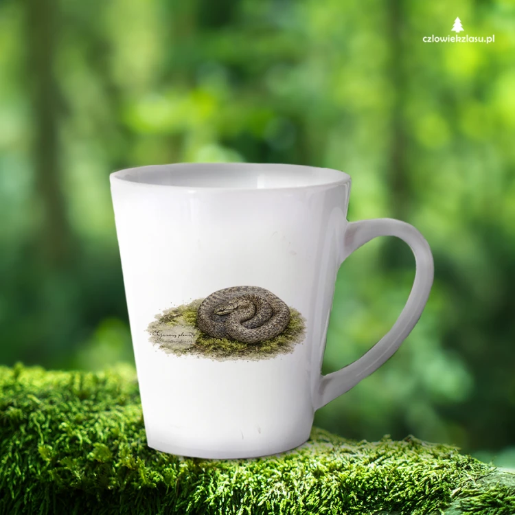 Gniewosz plamisty /Coronella austriaca/ - Kubek z wężem - Prezent dla herpetologa - Kubek latte