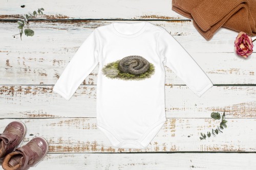 Body niemowlęce z długim rękawem, z gniewoszem plamistym (Coronella austriaca) - autorska grafika Pauliny Strejczek-Jaźwińskiej. Kolekcja Gniewosz plamisty, Człowiek z Lasu.
