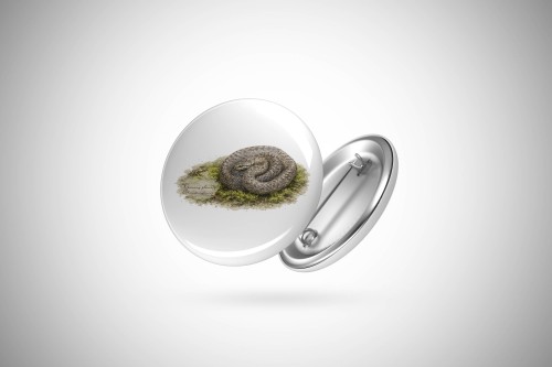Gniewosz plamisty /Coronella austriaca/ - Przypinka z wężem - Prezent dla herpetologa - Przypinka