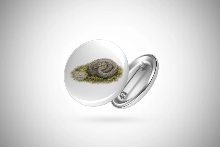 Przypinka z gniewoszem plamistym (Coronella austriaca) - autorska grafika Pauliny Strejczek-Jaźwińskiej. Front i tył z aluminium, zapięcie na agrafkę. Kolekcja Gniewosz plamisty, Człowiek z Lasu.