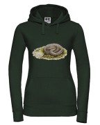Gniewosz plamisty /Coronella austriaca/ - Bluza z wężem - Prezent dla herpetologa - Bluza