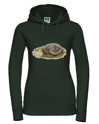 Gniewosz plamisty /Coronella austriaca/ - Bluza z wężem - Prezent dla herpetologa - Bluza
