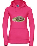 Gniewosz plamisty /Coronella austriaca/ - Bluza z wężem - Prezent dla herpetologa - Bluza