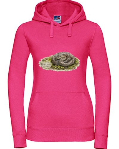 Gniewosz plamisty /Coronella austriaca/ - Bluza z wężem - Prezent dla herpetologa - Bluza